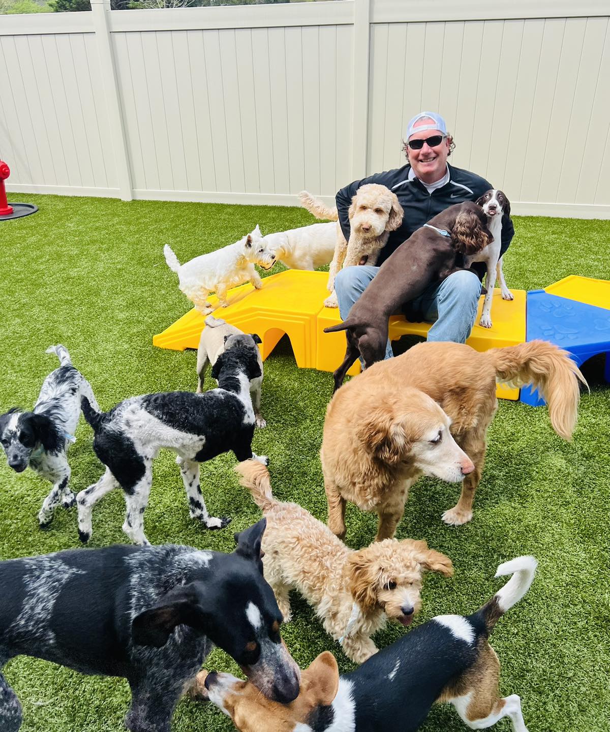 Group of dogs with owner of Dog Mountain Pet Resort