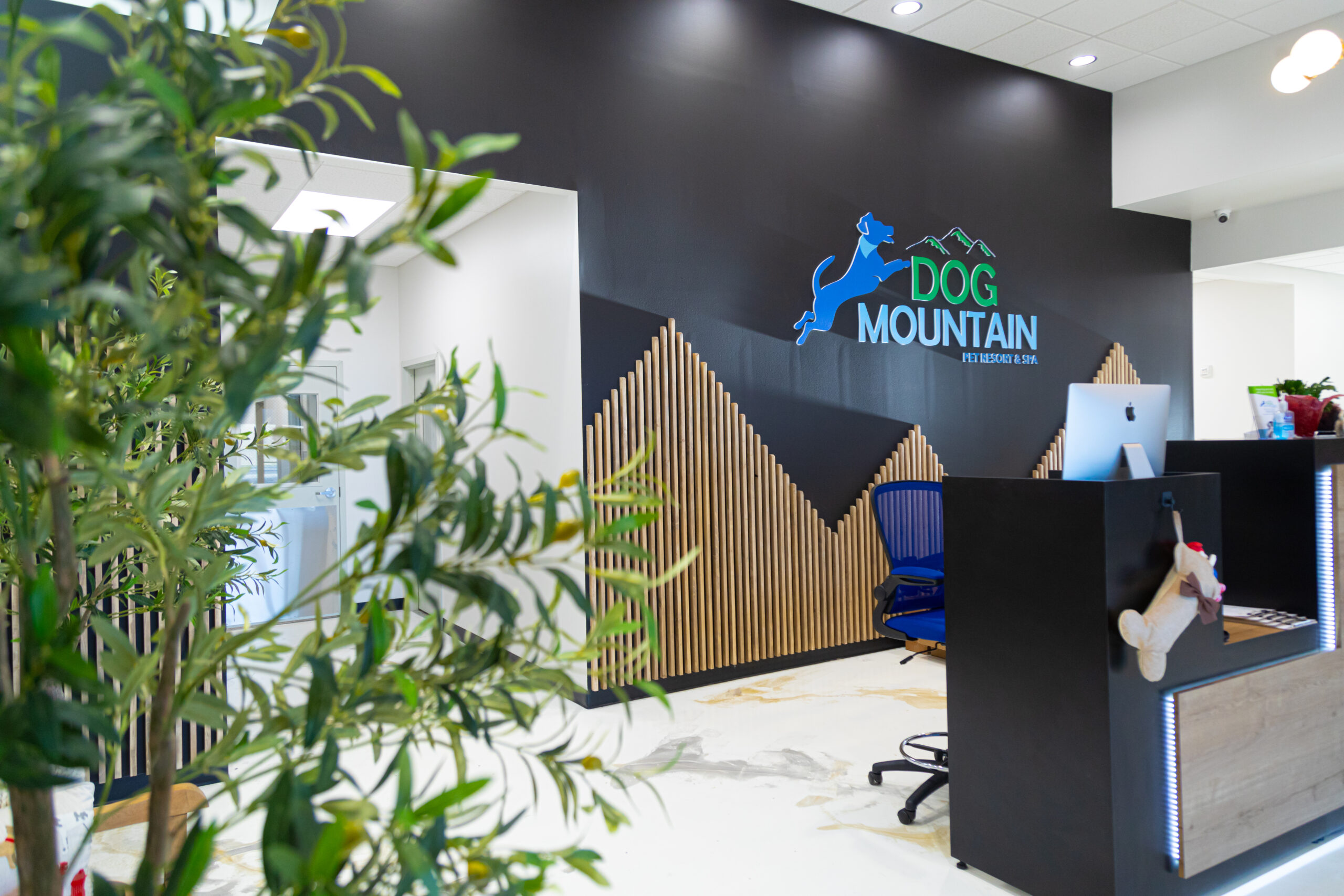 Dog Mountain lobby