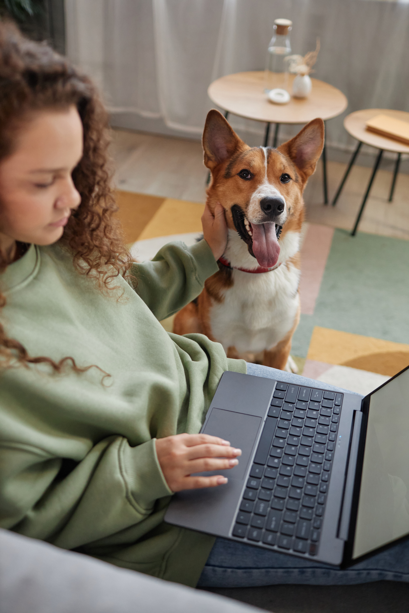 Happy Dog Looking at Camera with Girl Owner Using Laptop on Couch