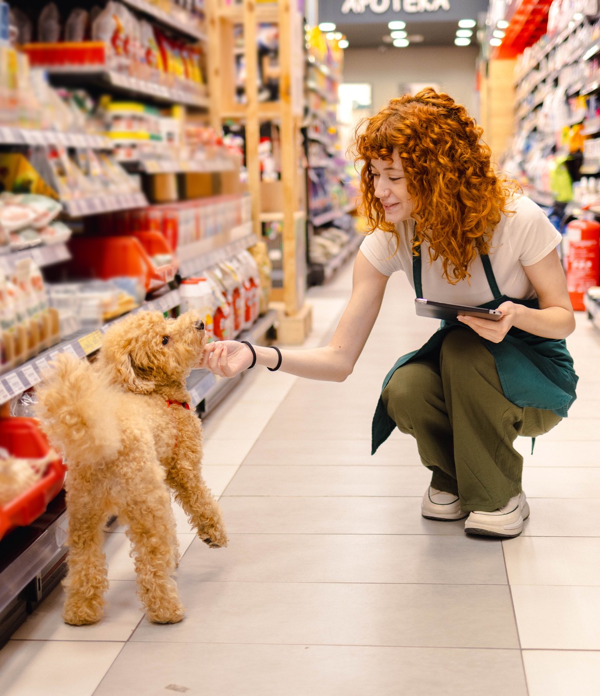Pet store owner petting dog