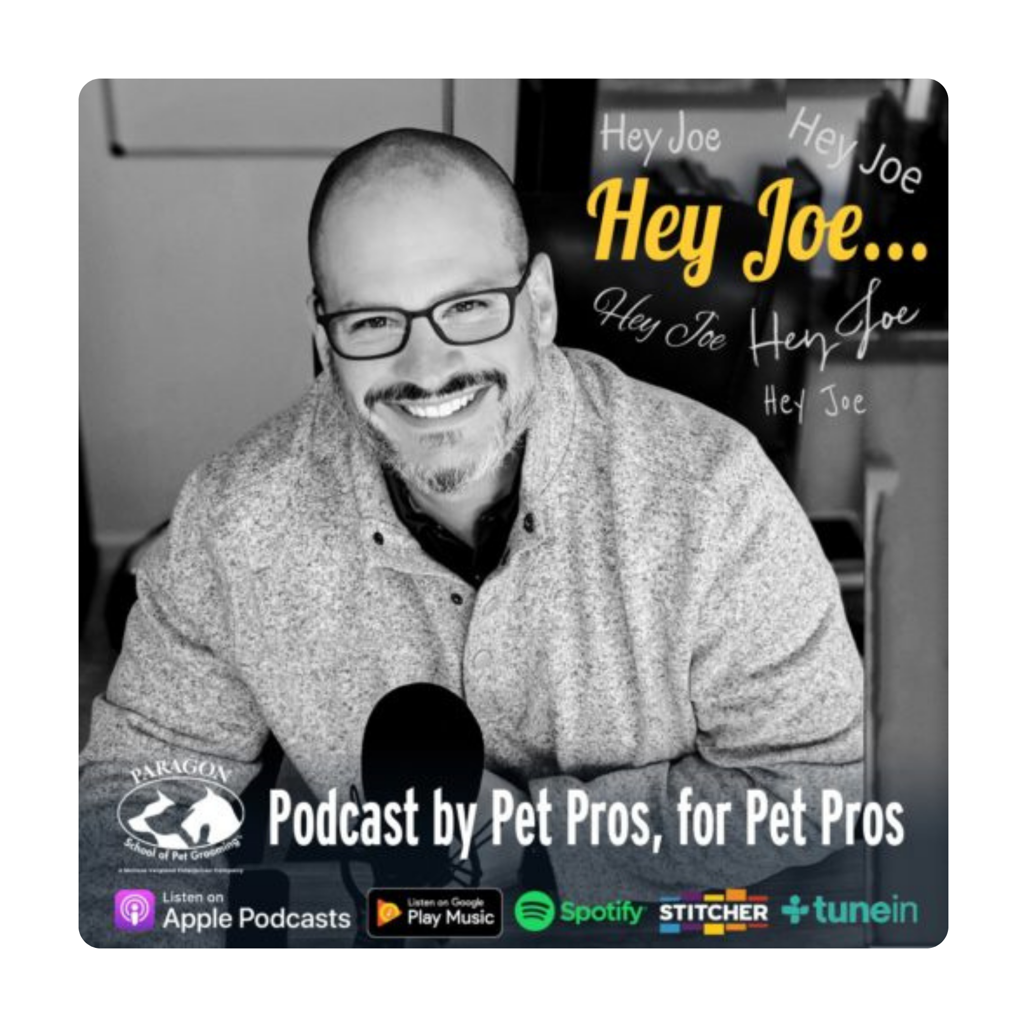 Hey Joe Podcast Logo
