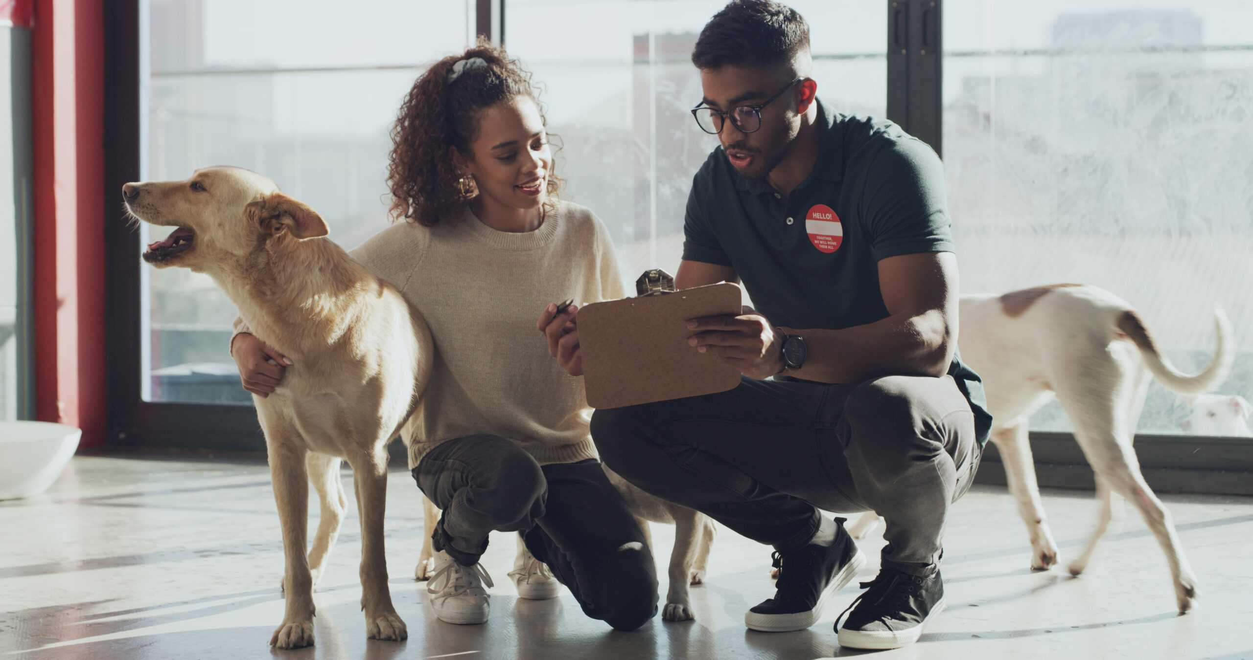 A pet care professional with a clipboard explains financing options to a pet parent surrounded by dogs for financing-for-dog-training blog.