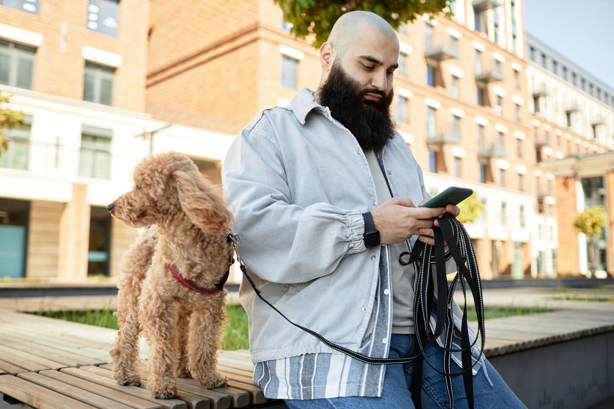 A bearded man holding a leash while checking reviews on his smartphone for do-online-reviews-matter blog.